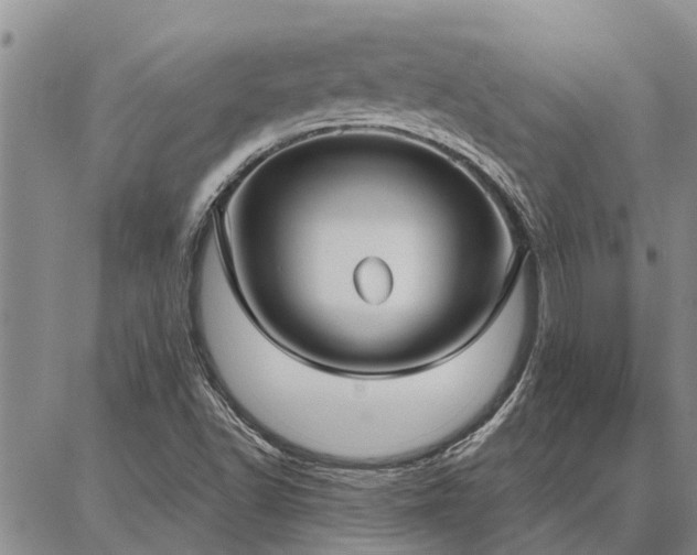 X0000086931502200704231317