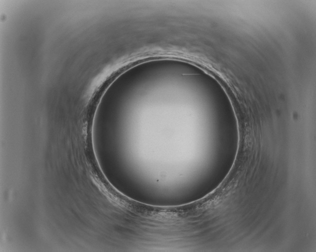 X0000086931503200704231317