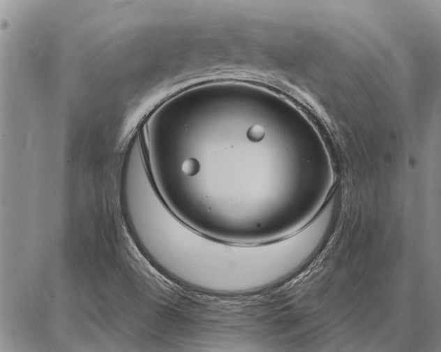 X0000086931504200704231317