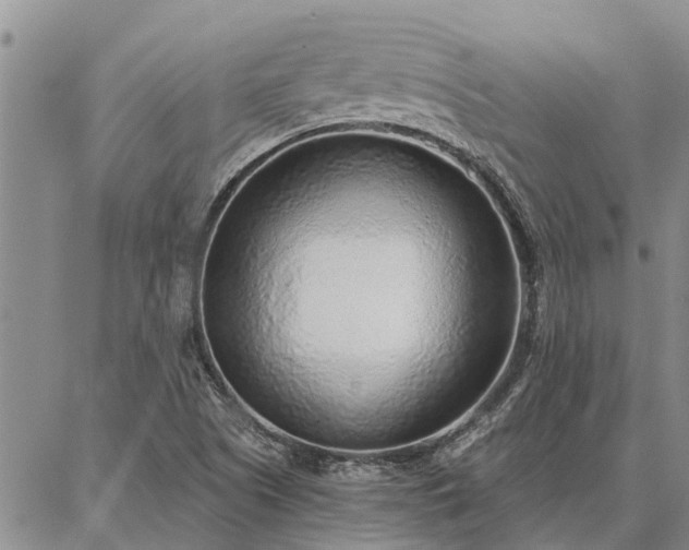 X0000086931505200704231317