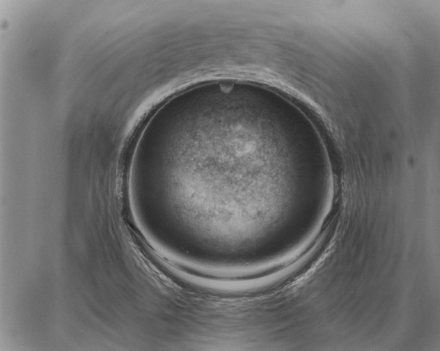 X0000086931506200704231317