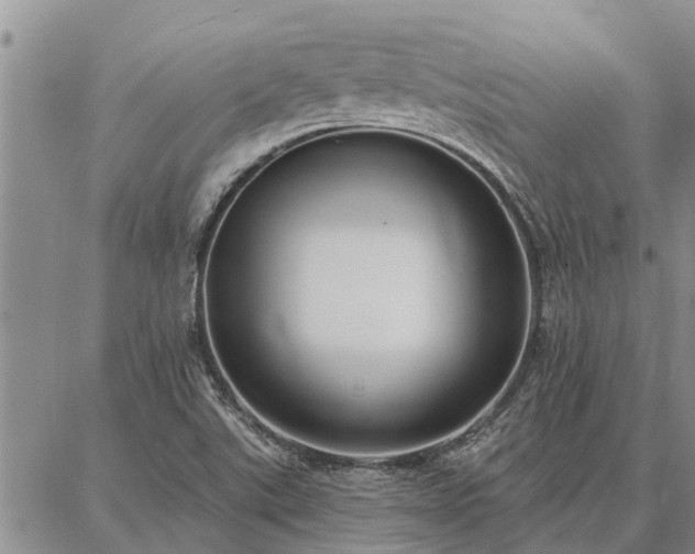 X0000086931507200704231317