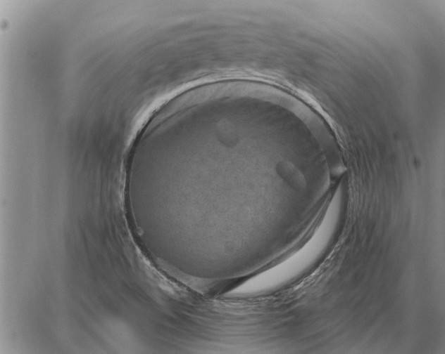 X0000086931508200704231317