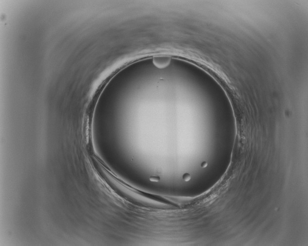 X0000086931510200704231317