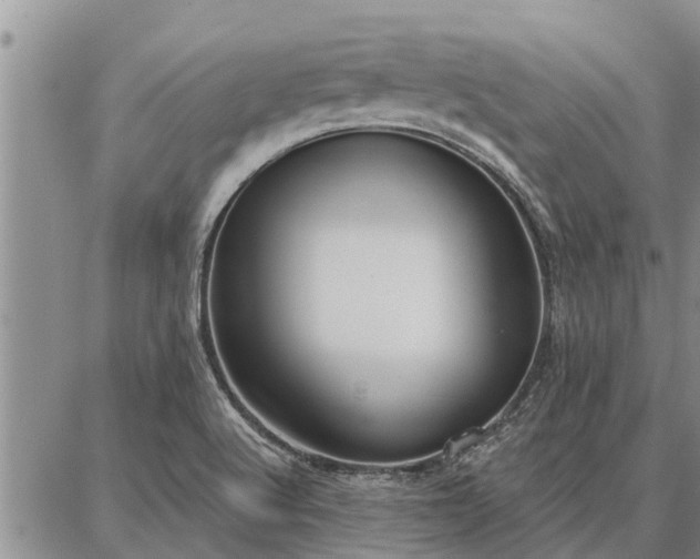 X0000086931512200704231317