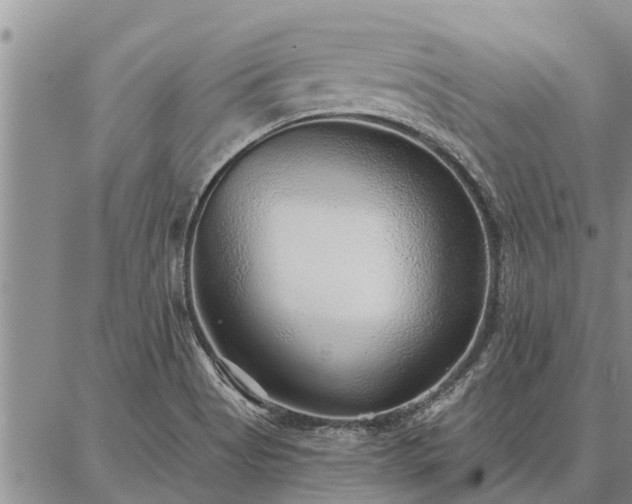 X0000086931513200704231317