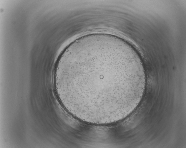 X0000086931514200704231317