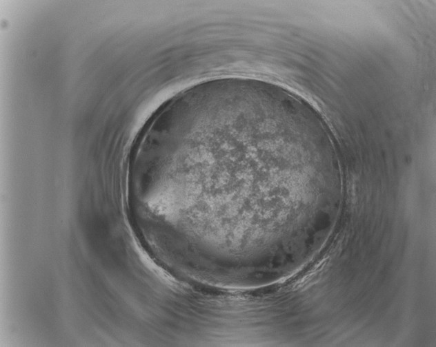 X0000086931515200704231317