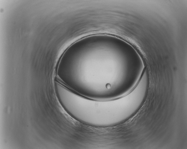 X0000086931516200704231317