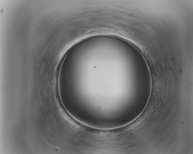 X0000086931518200704231317