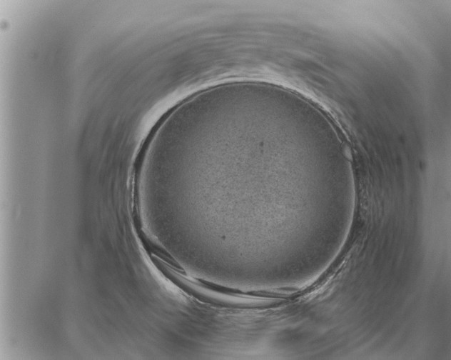 X0000086931519200704231317