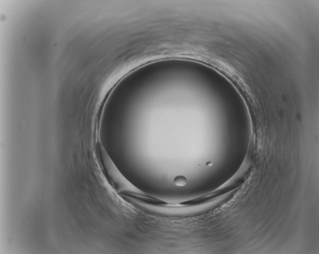 X0000086931520200704231317