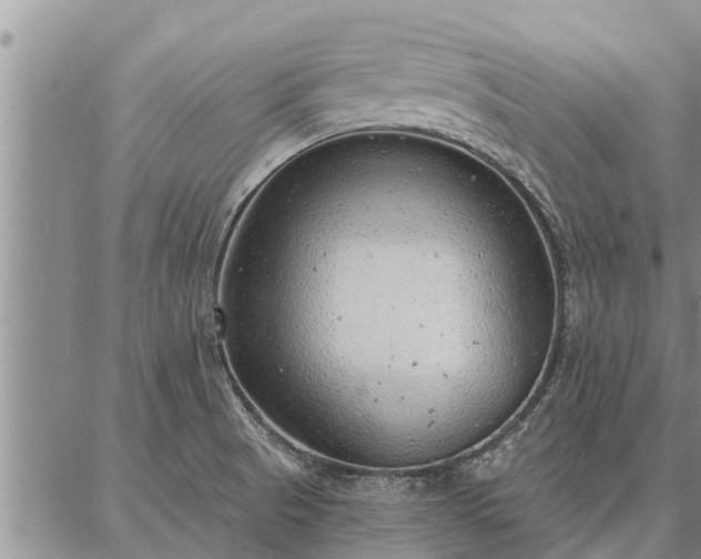 X0000086931521200704231317