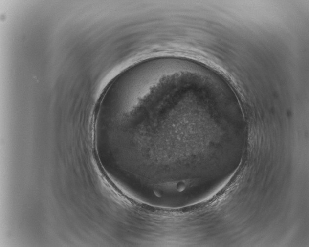 X0000086931522200704231317