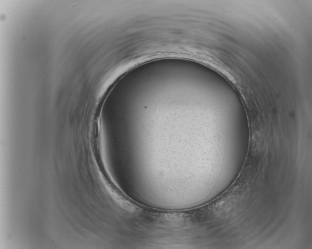 X0000086931523200704231317