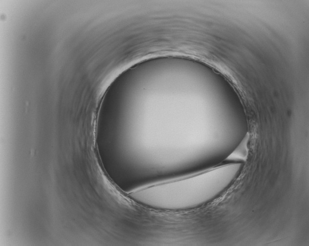 X0000086931524200704231317