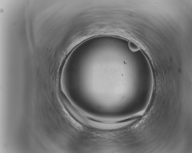 X0000086931525200704231317