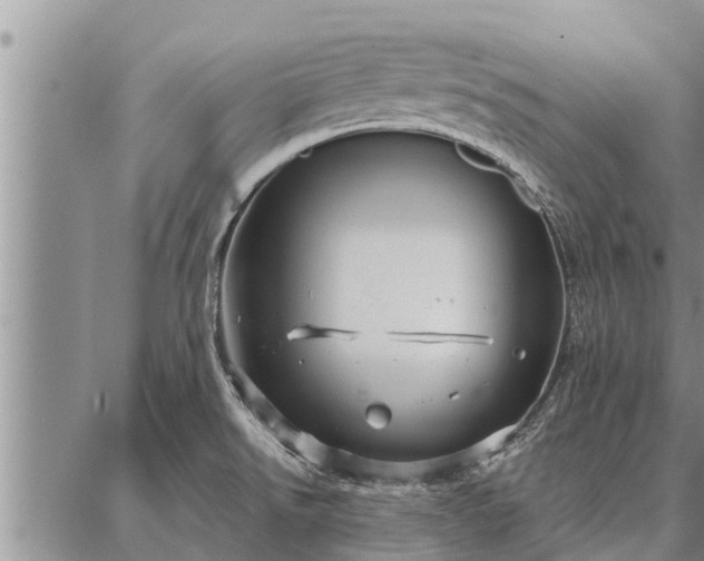 X0000086931526200704231317