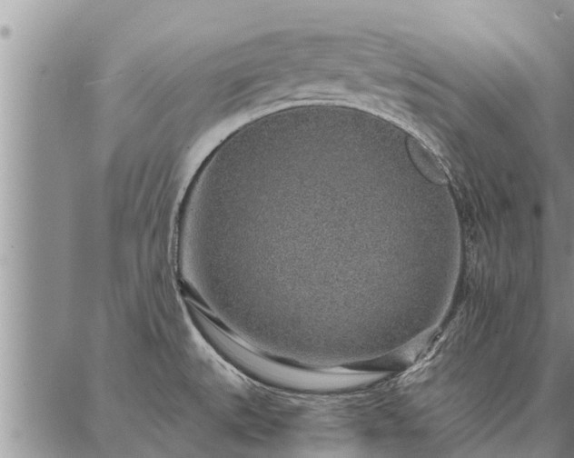 X0000086931527200704231317