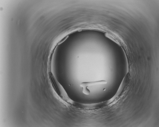 X0000086931528200704231317