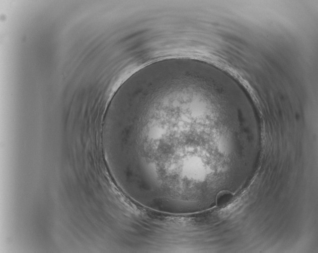 X0000086931529200704231317