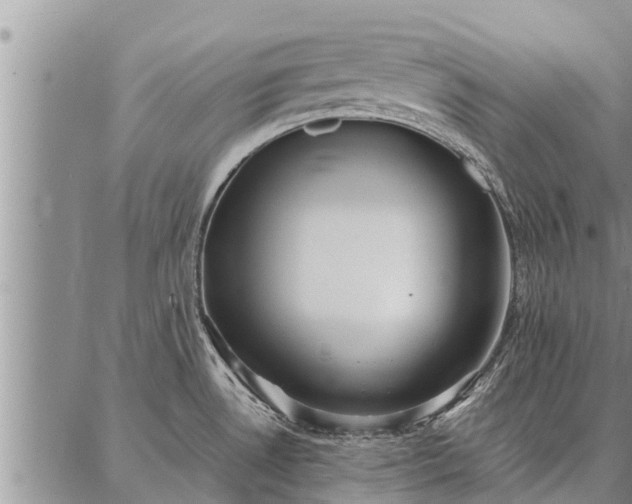 X0000086931530200704231317