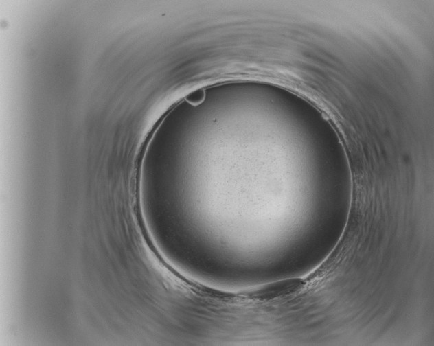 X0000086931531200704231318