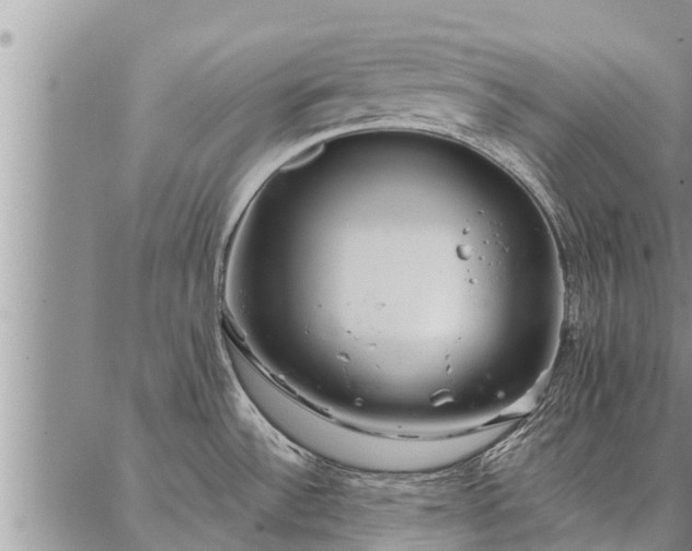 X0000086931532200704231318