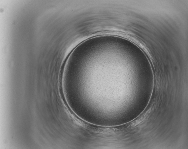 X0000086931533200704231318