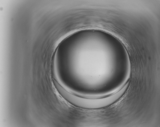 X0000086931534200704231318