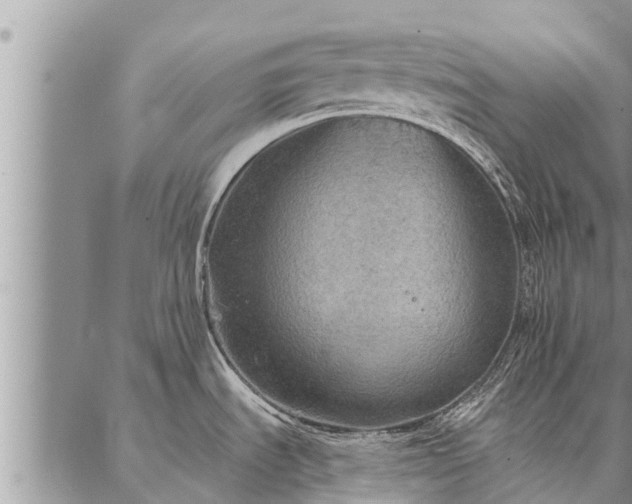 X0000086931535200704231318