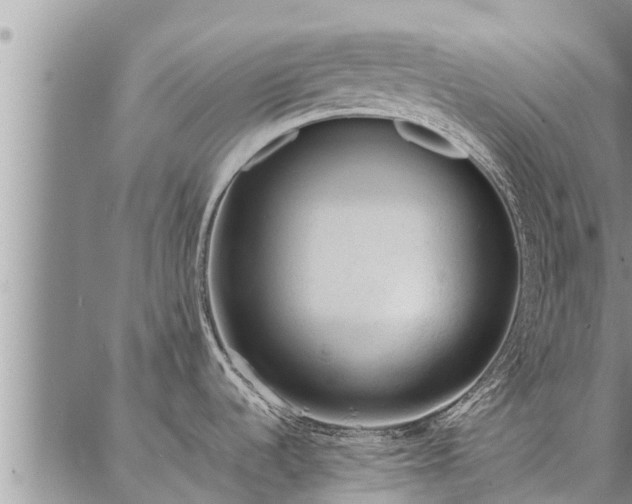 X0000086931536200704231318