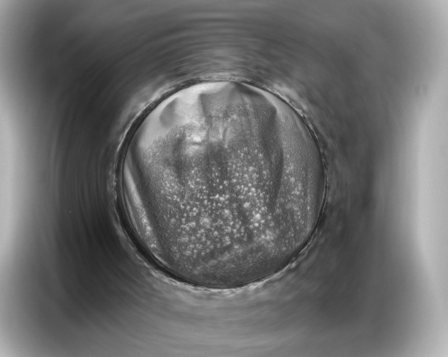 X0000086930002200704301126