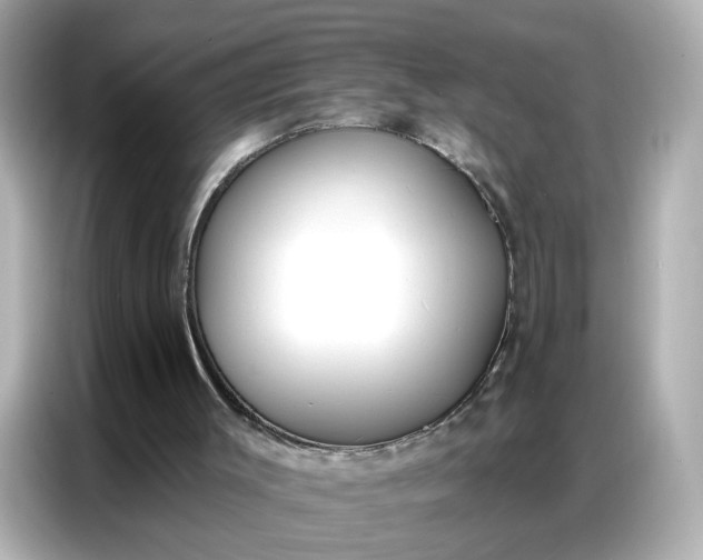 X0000086930003200704301126