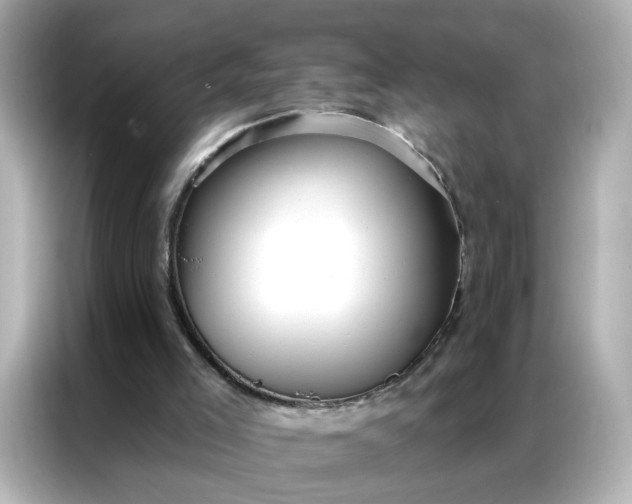 X0000086930005200704301126