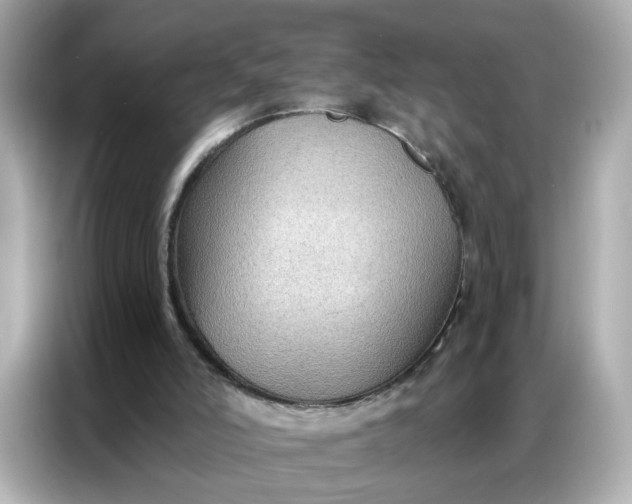 X0000086930006200704301126