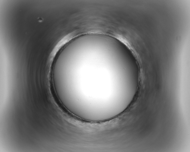 X0000086930007200704301126