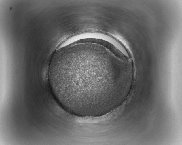 X0000086930009200704301126