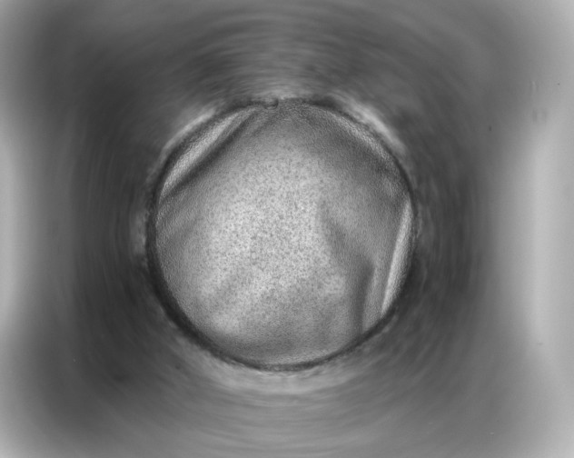 X0000086930010200704301126