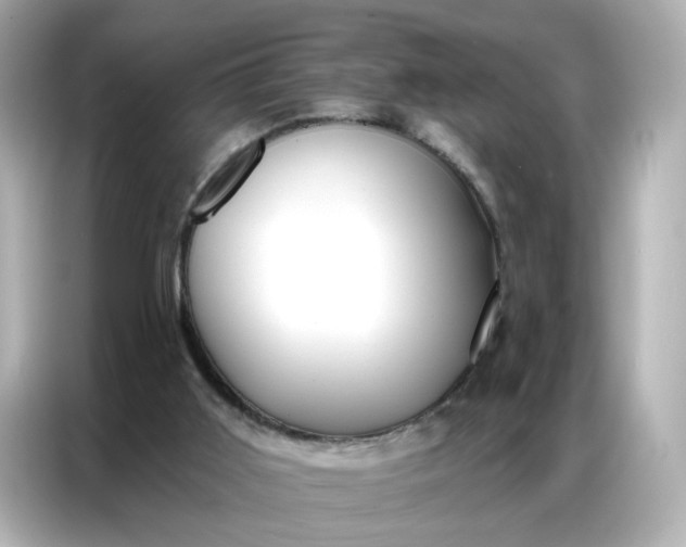 X0000086930011200704301126