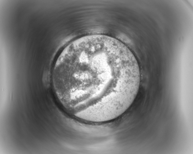 X0000086930012200704301126