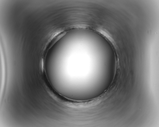 X0000086930013200704301126