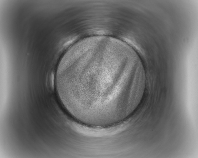 X0000086930014200704301126