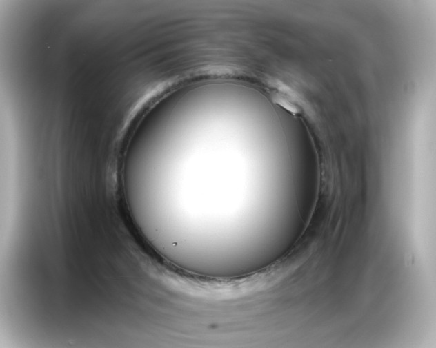 X0000086930015200704301126