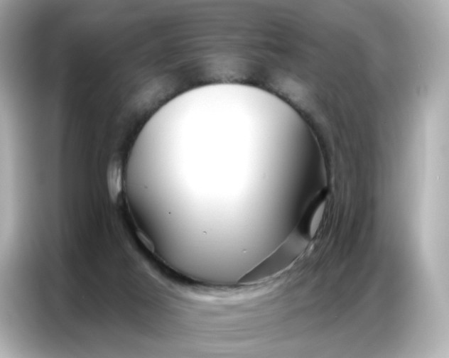 X0000086930021200704301126