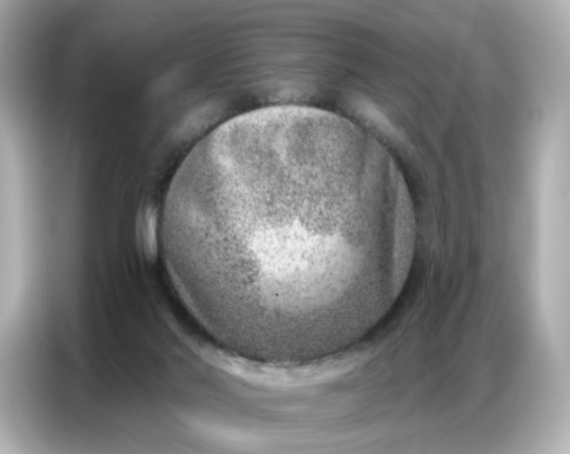 X0000086930022200704301126