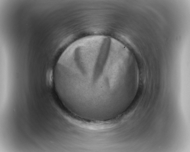 X0000086930024200704301126