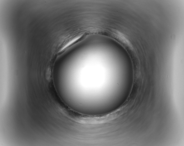 X0000086930025200704301126