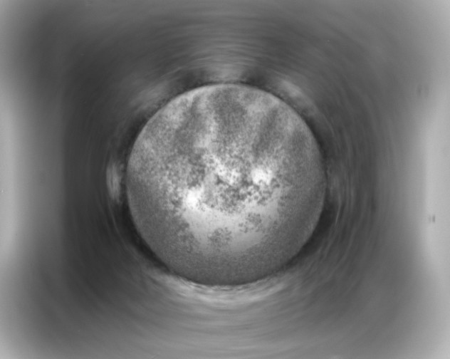 X0000086930026200704301126