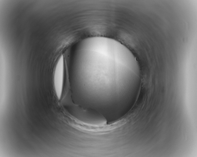 X0000086930027200704301126